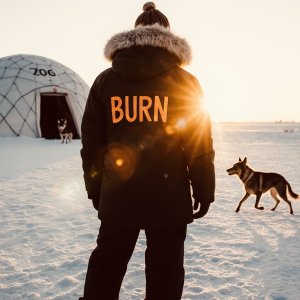 burncoin_20260331_193600_67c746.jpeg