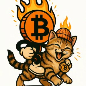 burncoin_20260330_234249_qpjlls.png