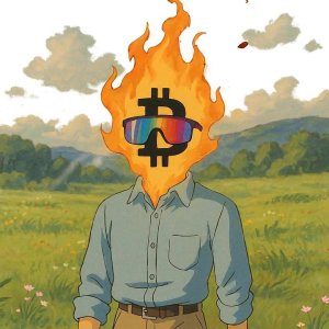 burncoin_ghibli_20260218_172841.mp4