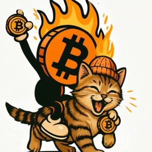 burncoin_20260330_234249_e8c562.mp4
