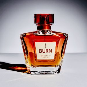 burncoin_20260331_190045_4264cc.jpeg