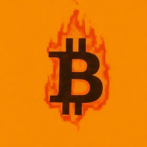 burncoin_20260331_193233_c1a348.mp4